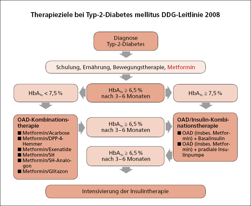 Diabetes mellitus Leitlinien 2023: Ein umfassender Leitfaden für die optimale Therapie