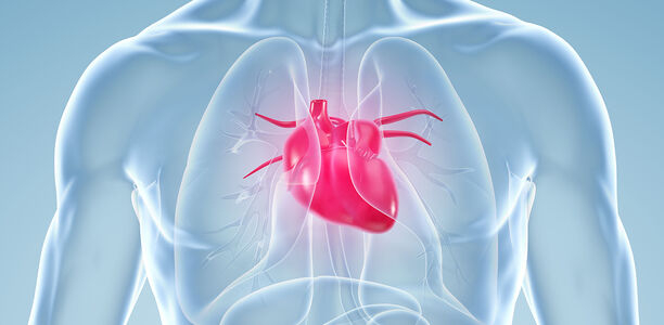 Bild zu Herzinsuffizienz-Leitlinien - SGLT2-Inhibitoren: Datenlage zu Herzen genommen