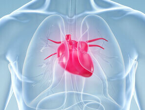Bild zu Herzinsuffizienz-Leitlinien - Datenlage zu Herzen genommen