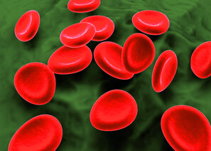 Bild zu Studie -  Blutzucker einstellen mit HbA1c-Selbstkontrolle