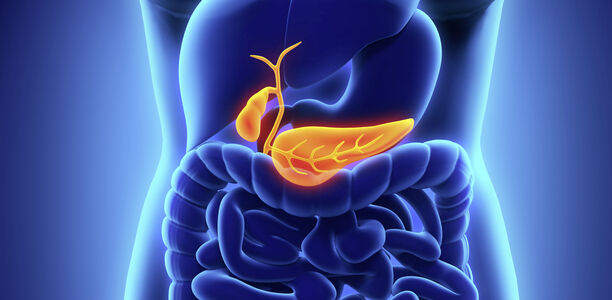 Bild zu Schwerpunkt „Gastrointestinaltrakt“ - Ungünstige Prognose bei Pankreaskarzinom