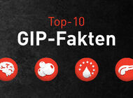 Bild zu ANZEIGE - Die Top-10-Fakten über GIP – Kennen Sie alle?